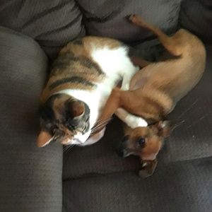 Meet your Posher, Regina